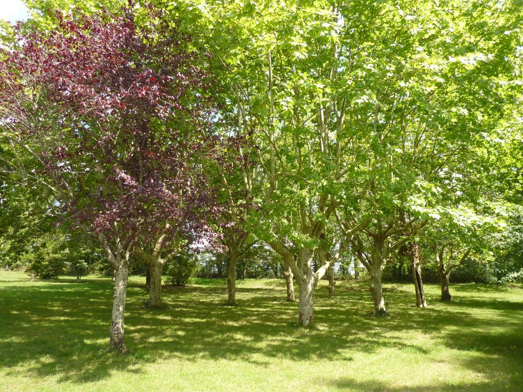 Camping Parc Du Chateau D'Allot Hotel Boé Buitenkant foto